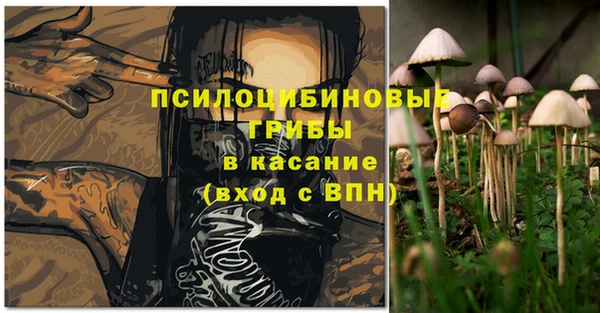 молекула духа Баксан