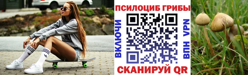 Псилоцибиновые грибы мухоморы  Устюжна 